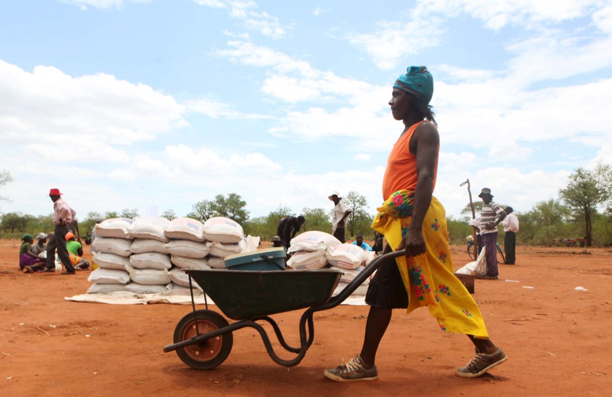 A villager uses a wheelbarrow to collect a monthly food ration provided by the United Nations World Food Programme (WFP) in Masvingo, Zimbabwe, January 25, 2016. REUTERS/Philimon Bulawayo