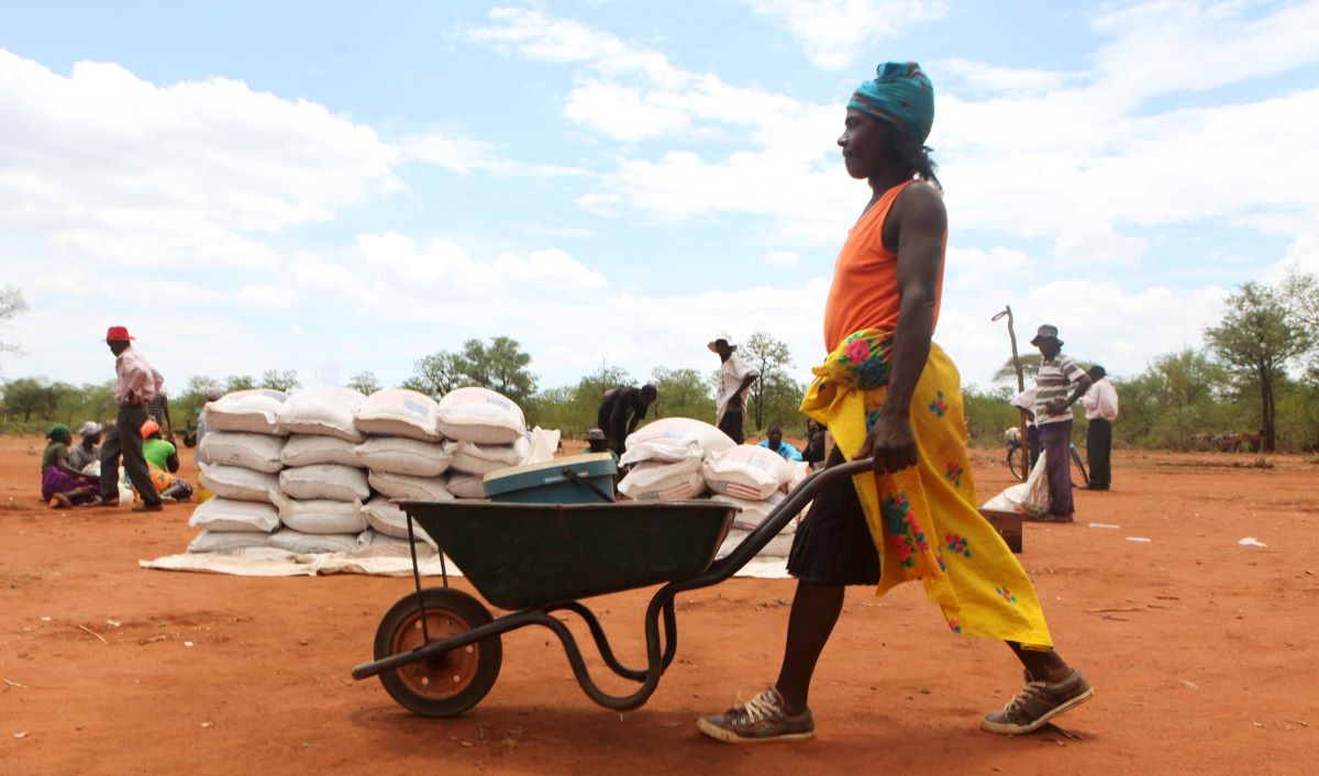 A villager uses a wheelbarrow to collect a monthly food ration provided by the United Nations World Food Programme (WFP) in Masvingo, Zimbabwe, January 25, 2016. REUTERS/Philimon Bulawayo