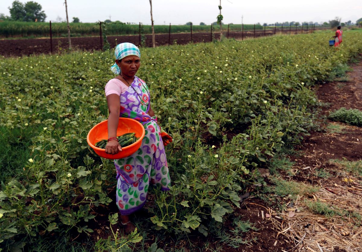 A woman takes a break while picking okra at field in a village in Nashik, India June 2, 2017