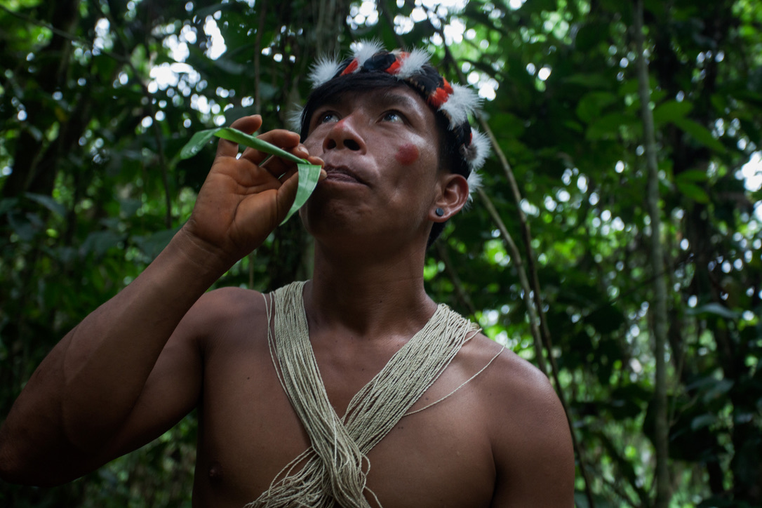 A Waorani person in the Amazon rainforest in the province of Pastaza, Ecuador, on April 25, 2022. Thomson Reuters Foundation/Fabio Cuttica