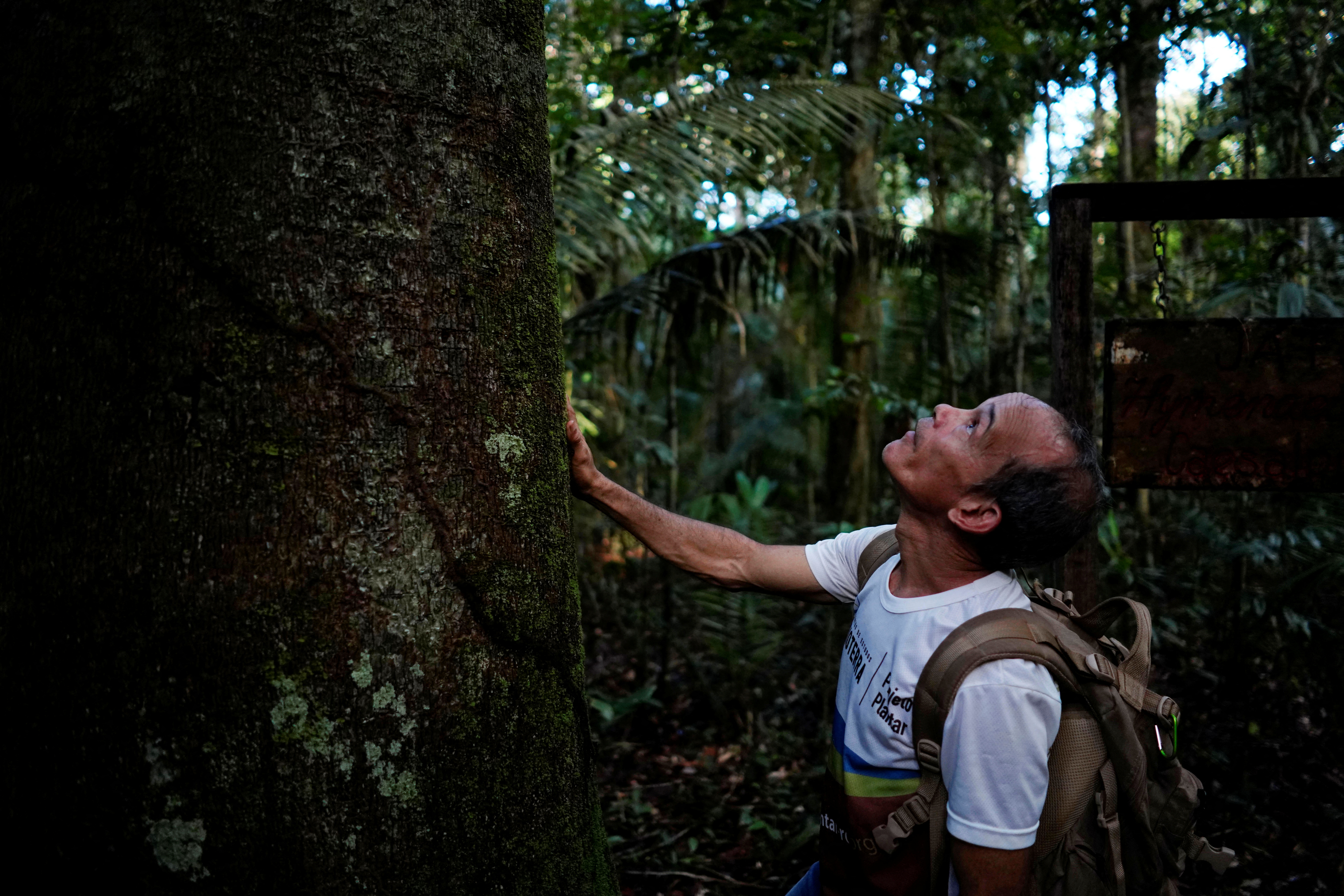 A former worker of nonprofit group Rioterra checks a tree at the Jamari National Forest, in Itapua do Oeste, Rondonia state, Brazil February 17, 2020. REUTERS/Alexandre Meneghini
