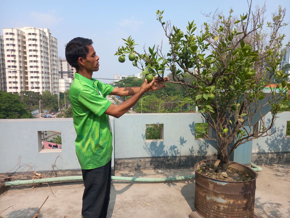 Md Dulal Miya, 35, a "plant doctor" with urban greening initiative Green Savers attends to a rooftop garden at a client's office in Dhaka, April 20, 2023. Thomson Reuters Foundation/ Md Tahmid Zami