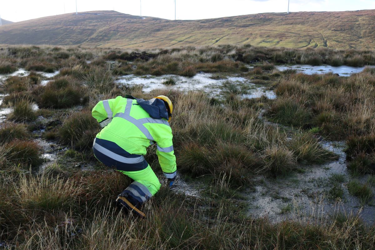 David McGinty inspects peatlands at Viking Energy’s restoration site in the centre of Mainland island, in Shetland, Scotland, November 1, 2023. Thomson Reuters Foundation/Jack Graham