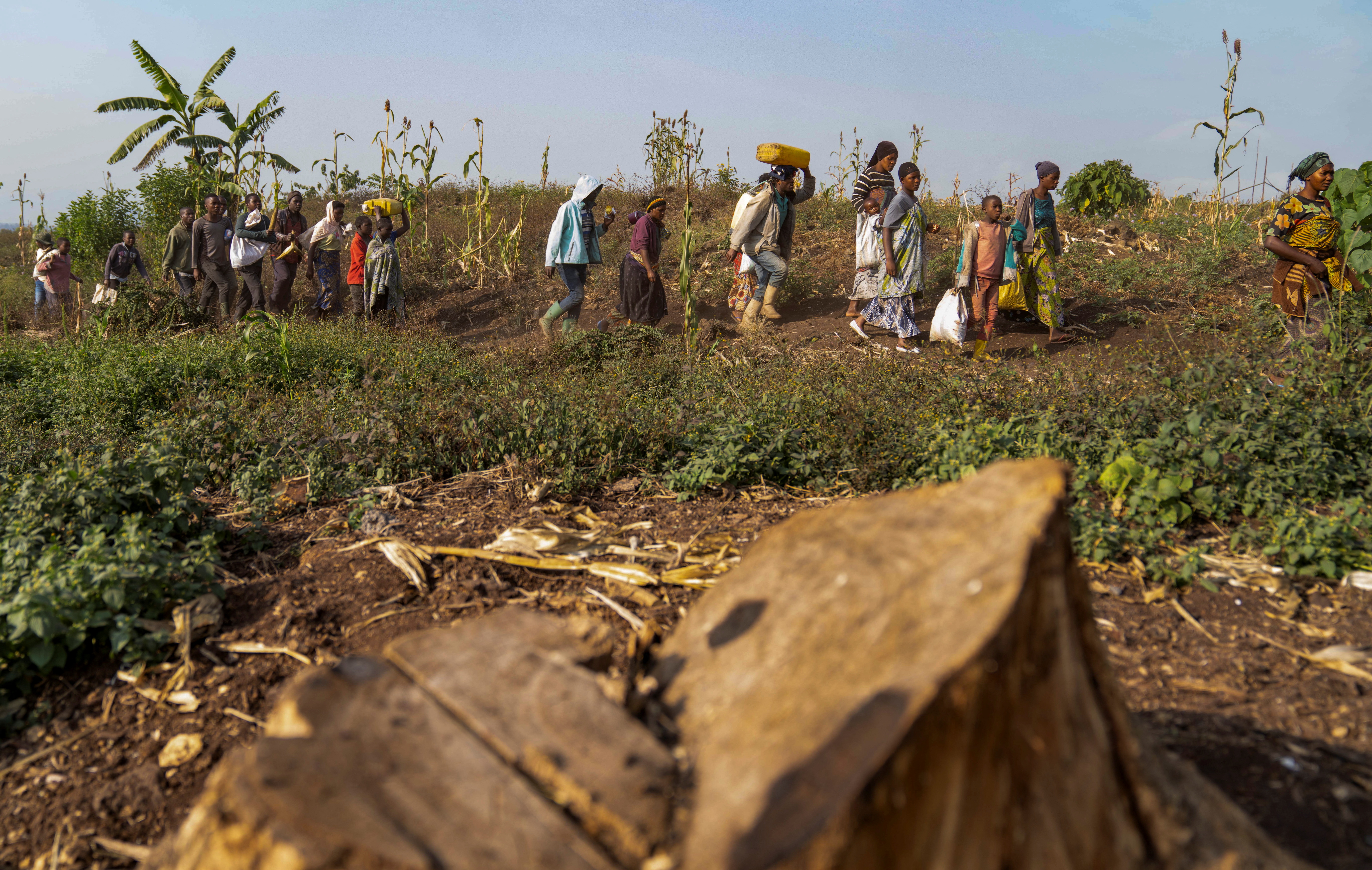 Internally displaced people walk to the Virunga National Park in Kibati, North Kivu province, Democratic Republic of the Congo July 12, 2024. REUTERS/Arlette Bashizi