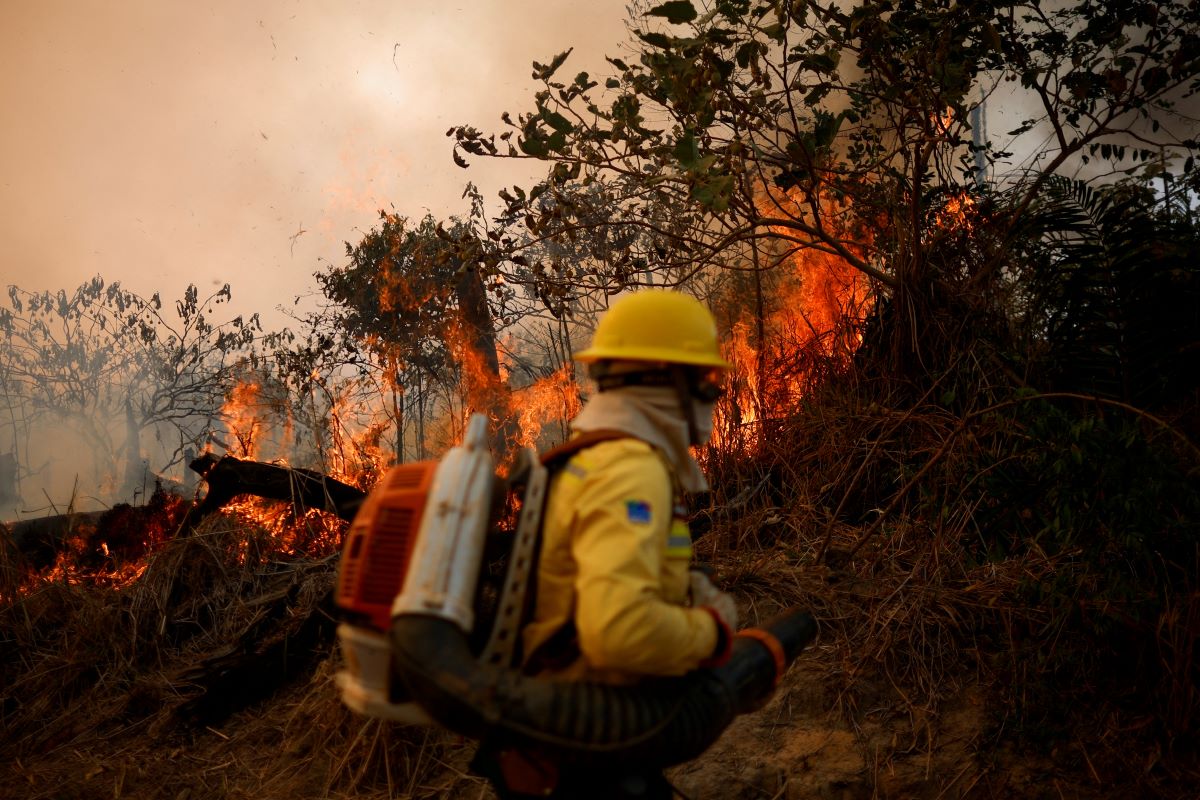 A member of Brazilian Institute for the Environment and Renewable Natural Resources (IBAMA) fire brigade works to extinguish a fire rising in Amazon rainforest in Apui, Amazonas state, Brazil, August 8, 2024. REUTERS/Adriano Machado