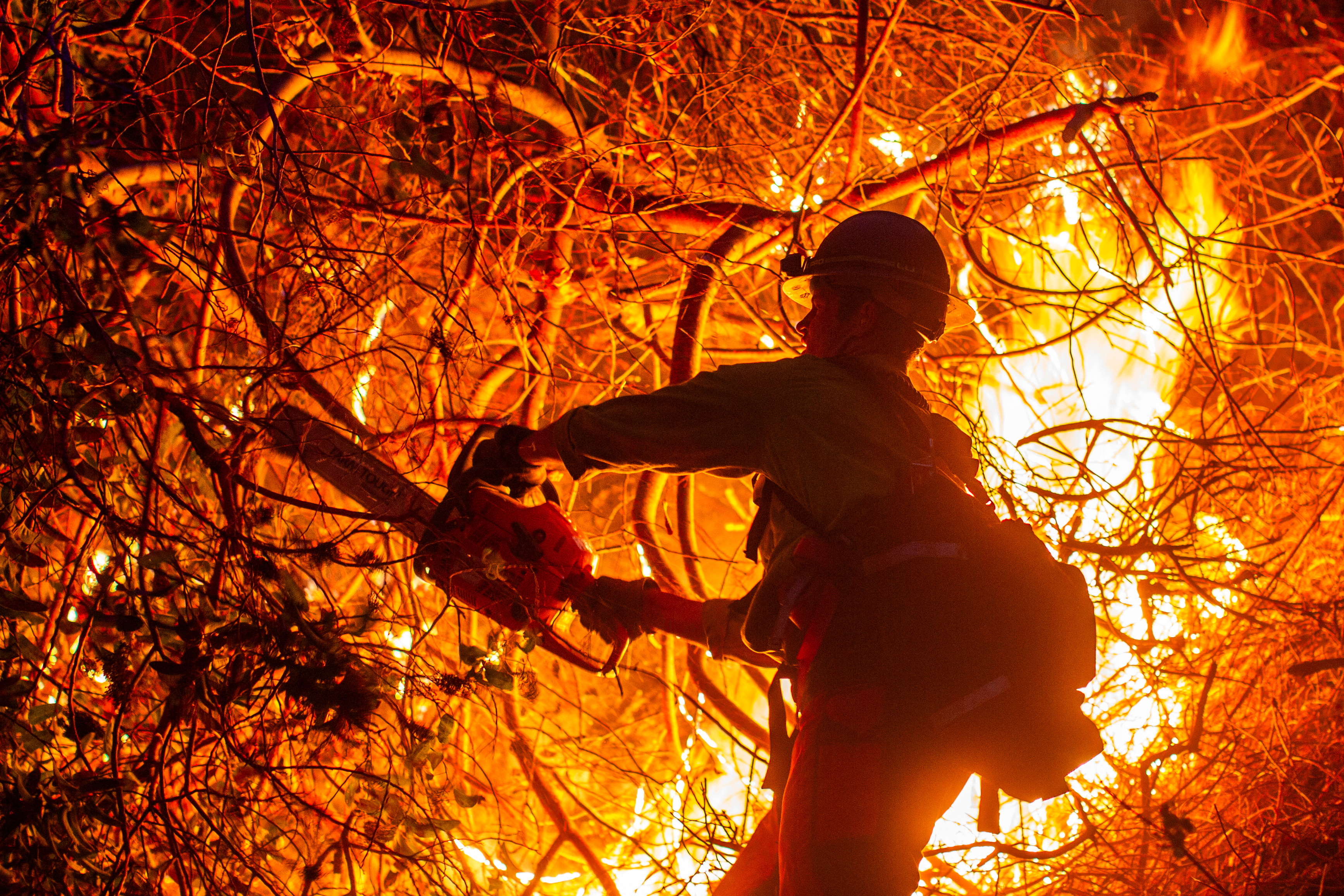A firefighter extinguishes the fire as the Palisades Fire burns in Mandeville Canyon, a neighborhood of Los Angeles, California, U.S., January 12, 2025. REUTERS/Ringo Chiu