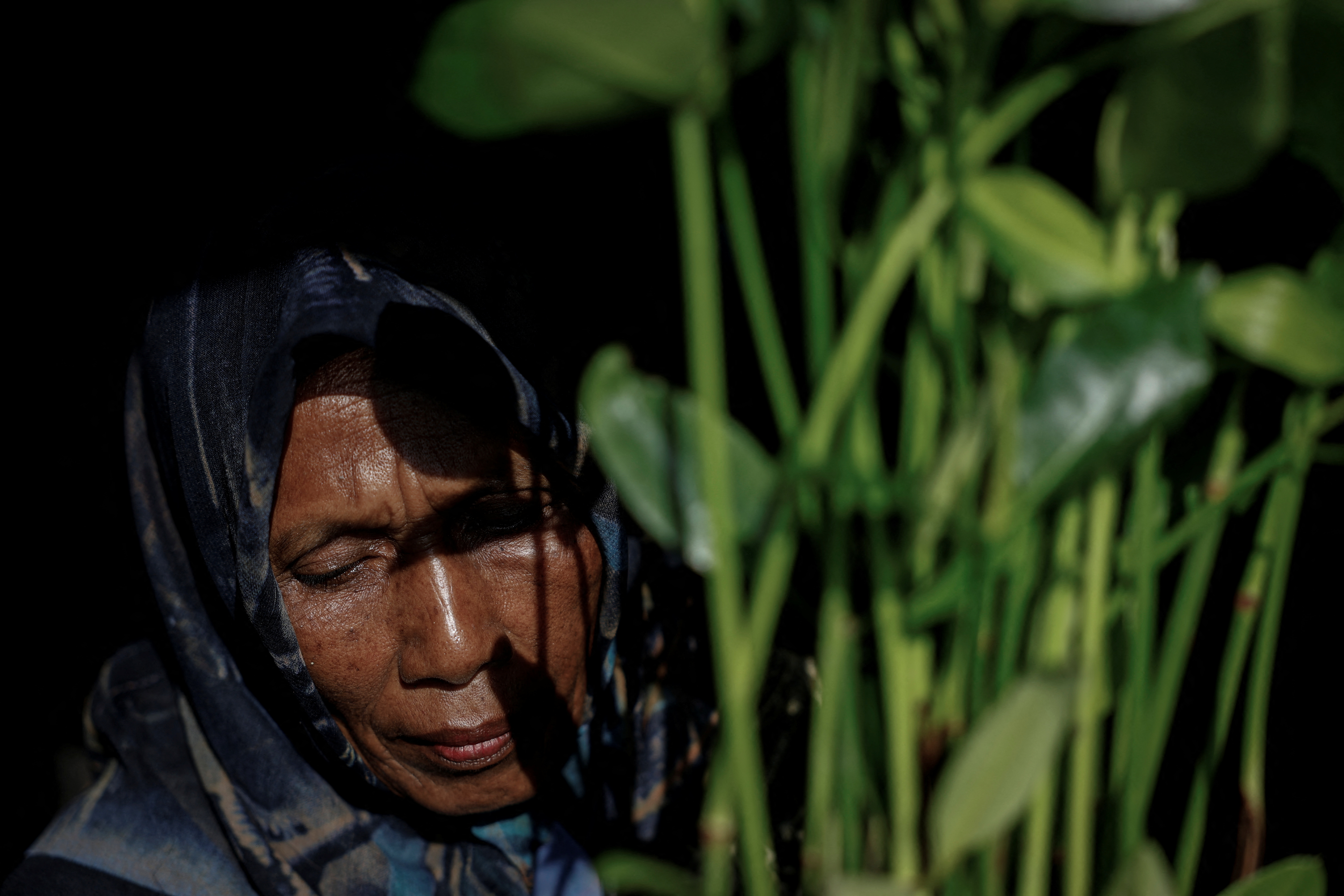 A woman holds mangrove seedlings at her home in Demak regency, Central Java Province, Indonesia, March 14, 2025. REUTERS/Ajeng Dinar Ulfiana