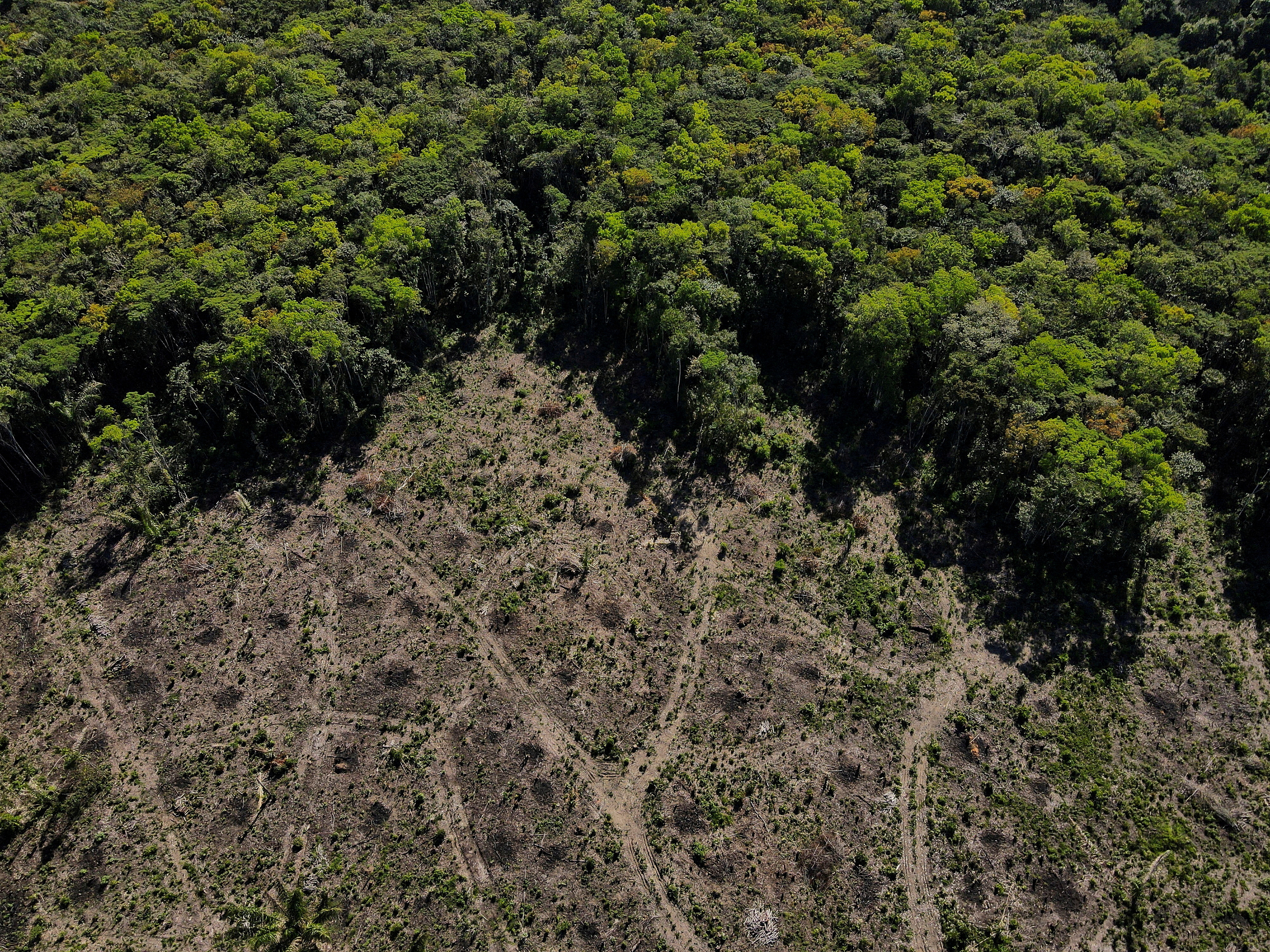 An aerial view shows a deforested plot of the Amazon rainforest in Manaus, Amazonas State, Brazil July 8, 2022. REUTERS/Bruno Kell