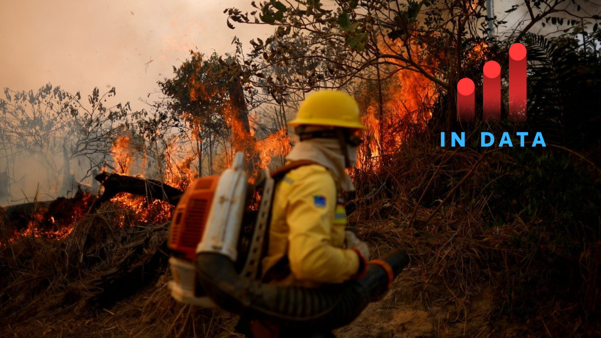 A member of Brazilian Institute for the Environment and Renewable Natural Resources (IBAMA) fire brigade works to extinguish a fire rising in Amazon rainforest in Apui, Amazonas state, Brazil, August 8, 2024. REUTERS/Adriano Machado