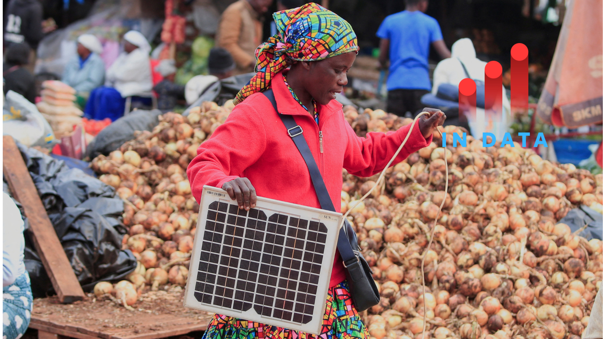 A woman prepares to set up a solar panel to charge her cellphone at a vegetable market in Harare, Zimbabwe, October 2, 2024.REUTERS/Philimon Bulawayo