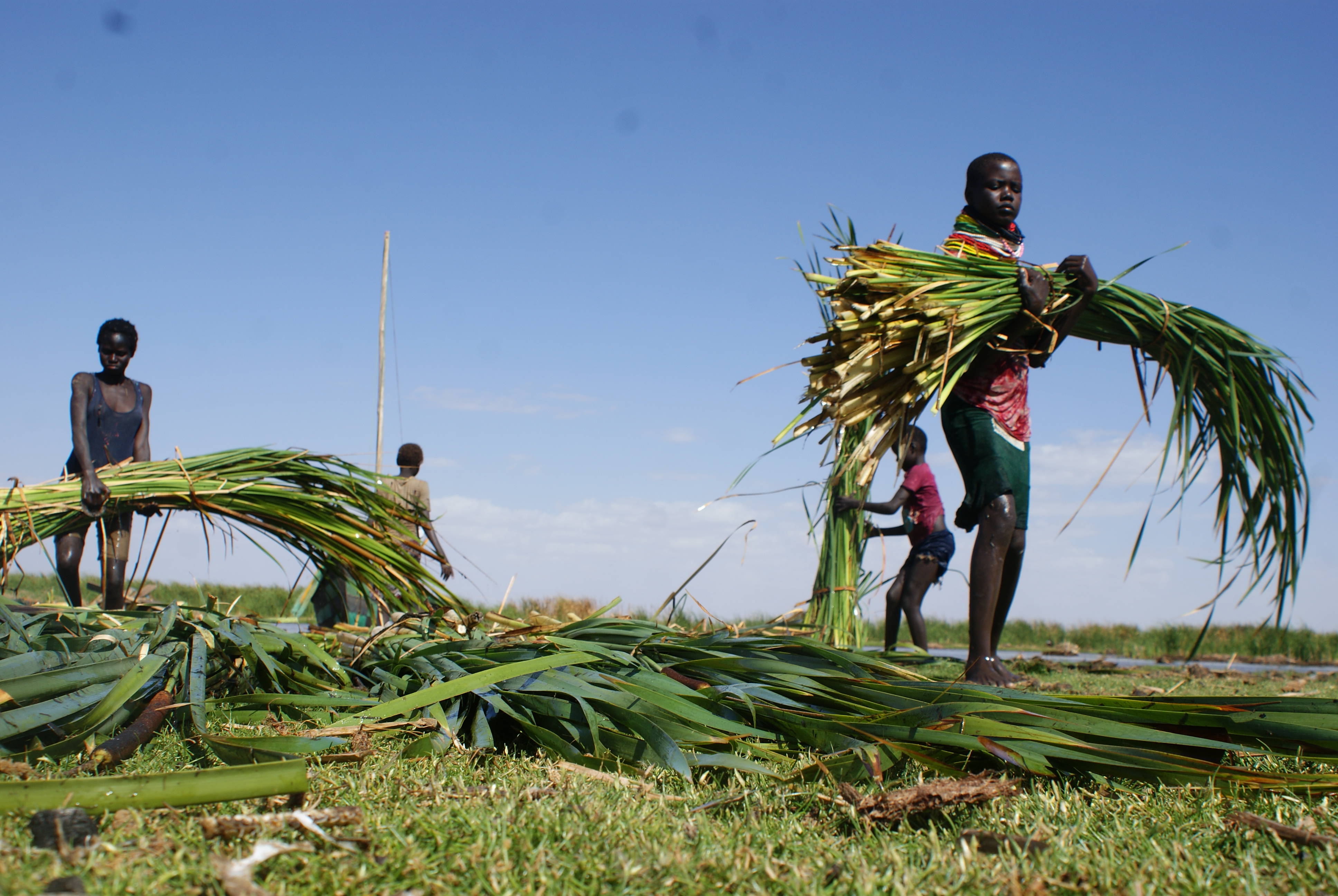 Kenyans turn to tradition to fight rising heat
