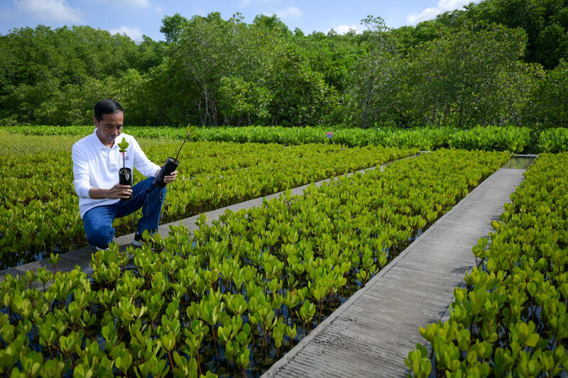Indonesian President Joko Widodo shows a mangrove seeding area to journalists as part of the G20 Summit, in southern of Denpasar, Indonesia on November 16, 2022. Alex Brandon/Pool via REUTERS 