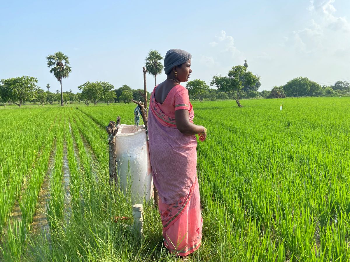 Farmer Rupa Chilukuri looks out over her natural farm in Reddygudem village, India, August 31, 2023