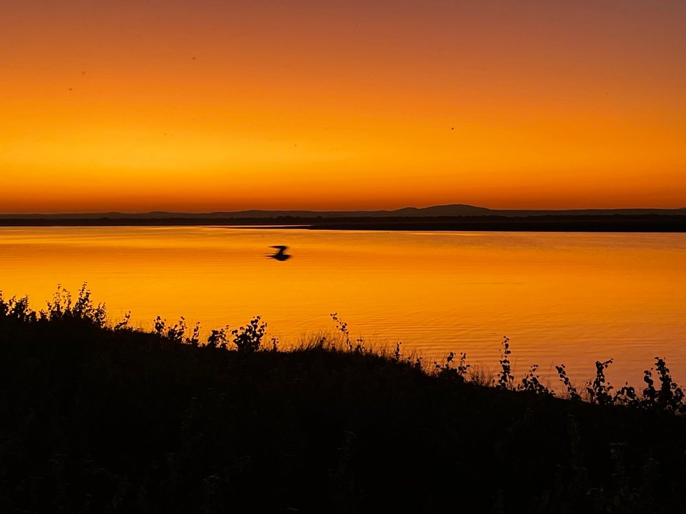 A bird flies over a lake as the sun sets and turns the water and sky orange in Gorongosa National Park in Mozambique, May 30, 2022