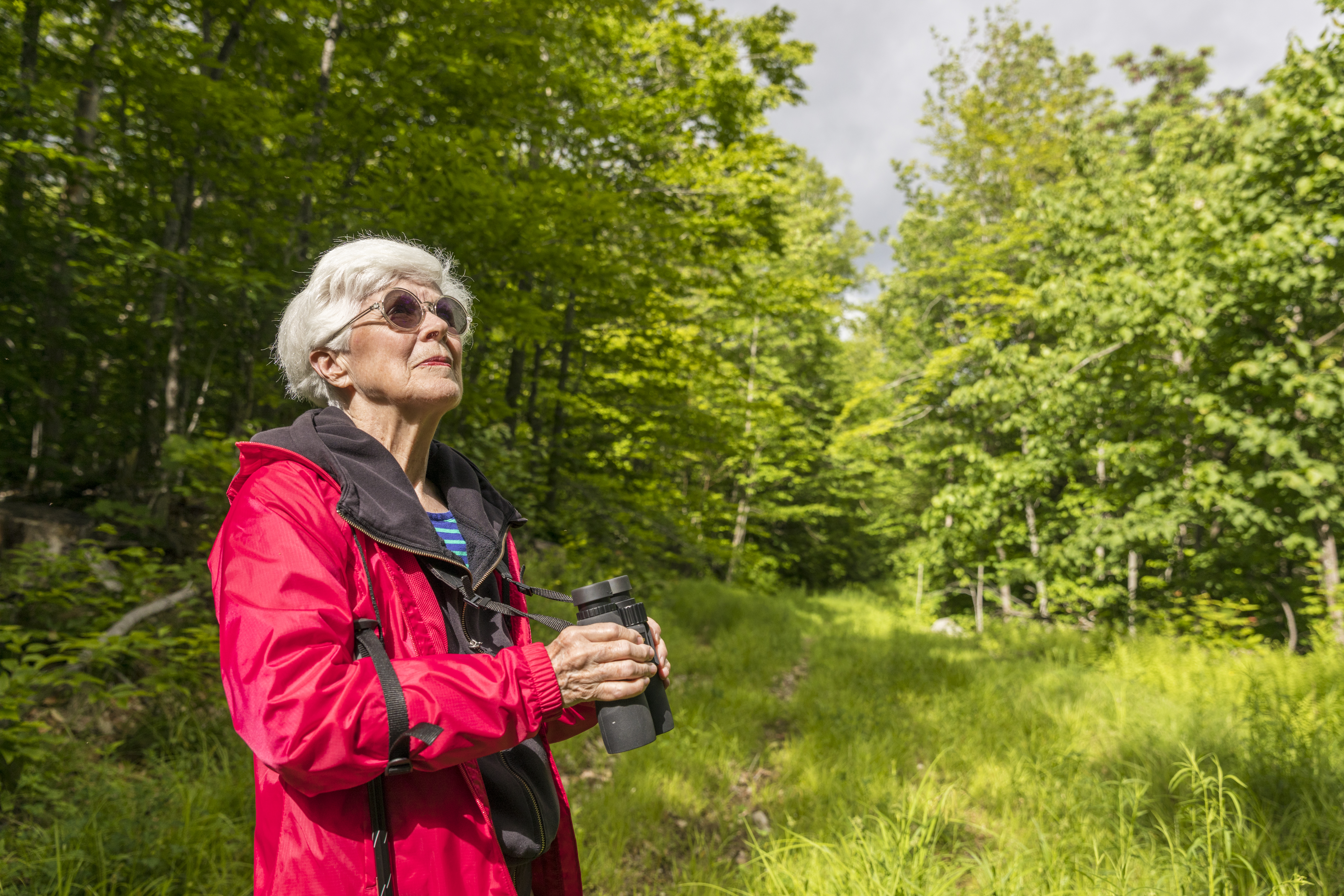 A birdwatcher stands in the Bethel Community Forest in Bethel, Maine