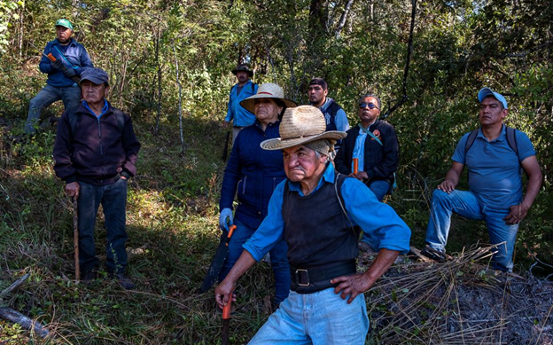 Custodians of Mexico’s indigenous forests confront climate change